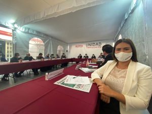 Asiste Anahí González a la Presentación del Plan Nacional de Organización 2020-2021 en Morena
