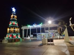 Navieras informan sobre sus horarios para el 24 y 25 de diciembre para Cozumel y Playa del Carmen: Apiqroo