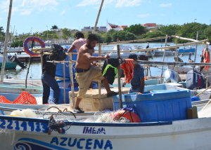 Frente frío paralizará al menos una semana al sector pesquero en Campeche