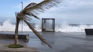 Más de 20 frentes fríos han dejado afectaciones a Veracruz