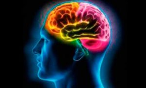 Estudio revela que Covid-19 puede “esconderse” en el cerebro y causar recaídas
