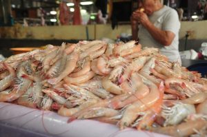 Producción de camarón está “por el suelo”, exigen respeto a la veda en Campeche