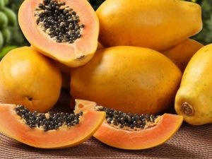 Papaya una fruta llena de sabor y valor económico