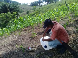 Israel Morelos productor de maíz, orgullo para México y su campo