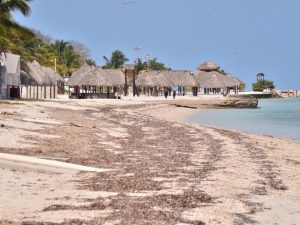 Difícil que en Semana Santa se abra Playa Bonita a bañistas en Campeche