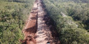 Juez ordena suspender construcción del “Tren Maya” en varios puntos de Yucatán