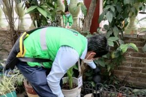 Para evitar proliferación del dengue, eliminan 10 toneladas de cacharros en Poza Rica, Veracruz