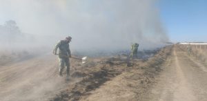 Ejército Mexicano aplica el Plan DN-III-E en incendio forestal en Veracruz