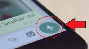 Así puedes cambiar tu voz en las notas de audio de WhatsApp