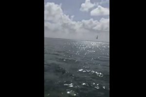 Se desploma avioneta en la Laguna Nichupté en Cancún