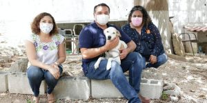 Empleados en Mérida se capacitan en el manejo adecuado de la fauna doméstica