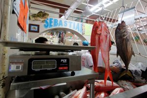 Aumenta la vigilancia por la venta de pescados y mariscos en Quintana Roo: Cofepris