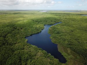 Conservación de propiedad ejidal necesaria para proteger recursos naturales en Quintana Roo