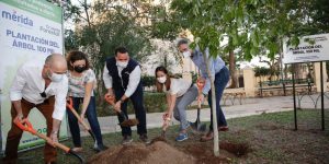 Ayuntamiento de Renán Barrera, alcanza la meta de sembrar 100,000 árboles