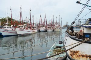 Denuncian que Sepesca pone obstáculos para entregar apoyo a pescadores de altura en Campeche