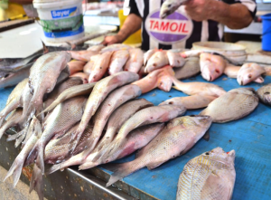 Disminuyó un 20 por ciento la venta de pescados y mariscos en Campeche