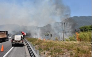 Combaten incendio de pastizal en la autopista Córdoba-Puebla
