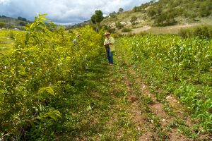 La agroecología es el presente para el campo