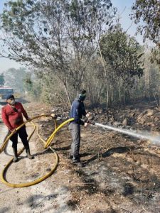 Incendios forestales han afectado casi 140 hectáreas de Quintana Roo durante 2021: SEMA