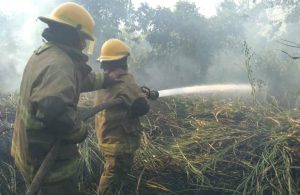 Incendios forestales amenazan México; hay 57 activos en 14 estados