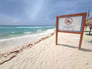 Continúan acciones de prevención en Playas Delfines, Cancún