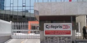 Cómo tramitar un permiso en Cofepris para el uso lúdico de marihuana en México: paso a paso