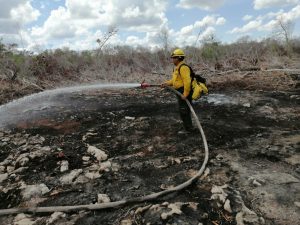 Situación de Incendios Forestales bajo control en Quintana Roo