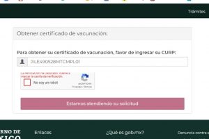 Usuarios reportan fallas en página para obtener certificado COVID