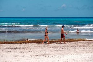 Mitigar efectos del sargazo en Quintana Roo, reto de la Secretaría de Marina