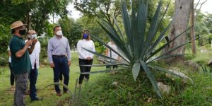 Ayuntamiento de Mérida, fortalece alianzas para el trabajo conjunto a favor del medio ambiente