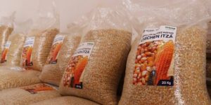 Distribuyen cerca de 120 toneladas de semilla de maíz para autoconsumo en respaldo a las familias que más lo necesitan en Yucatán