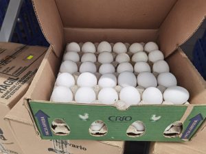 Vende Sam’s Club cajas de huevo podridos a los habitantes de Solidaridad en Quintana Roo
