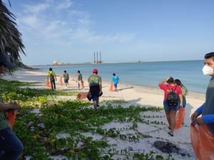 Limpiaron la playa para anidación de tortugas marinas en Campeche
