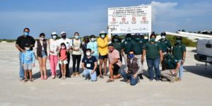 Protegen zona de anidación de tortugas marinas en Chuburná puerto en Progreso, Yucatán
