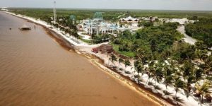 NASA alerta por llegada de grandes concentraciones de sargazo a Quintana Roo