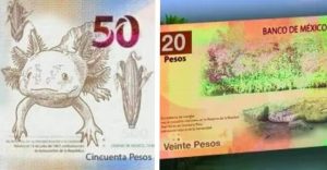 Filtran diseños de nuevos billetes de 20 y 50 pesos en México