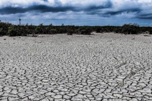 Conagua declara inicio de emergencia por sequía extrema