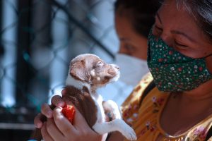 Fomenta gobierno de Benito Juárez adopción canina responsable