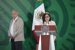 Hoy inicia censo casa por casa en Veracruz para detectar daños por Grace: Proteccion Civil Federal