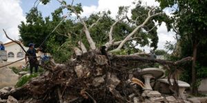 ¿Cuántos árboles caídos dejó Grace en Mérida?