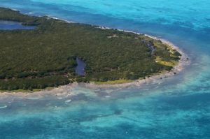 En Quintana Roo se impulsa la conservación de la biodiversidad, atracción a nivel internacional