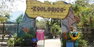 ¿Qué daños sufrieron los zoológicos de Mérida ante el paso de Grace?