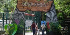 Con actividades lúdicas y paseos gratuitos, el parque zoológico del Centenario celebra su 111 aniversario