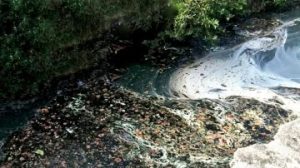 Aguakan y CADU continúan acabando con los cenotes y destruyendo Solidaridad, un llamado urgente al Presidente Andrés Manuel Lopez Obrador: Vecinos Unidos AC