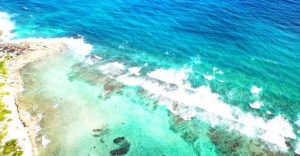 Quintana Roo protege su riqueza natural