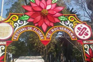 Más de 200 productores participan en Festival de flores de Nochebuena en CDMX