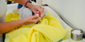 Realiza IMSS Tamiz Neonatal para detección oportuna de enfermedades