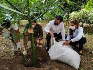 Gobierno de Benito Juárez promueve entorno sostenible