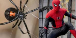 Niños provocan que viuda negra los pique para convertirse en Spider-Man