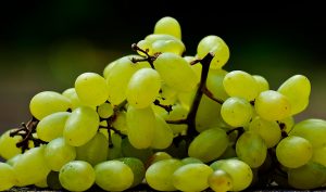 Venden en más de 100 pesos el kilo de uva